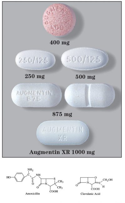 Amoxicillin with Clavulanate Potassium – Sigler Drug Cards