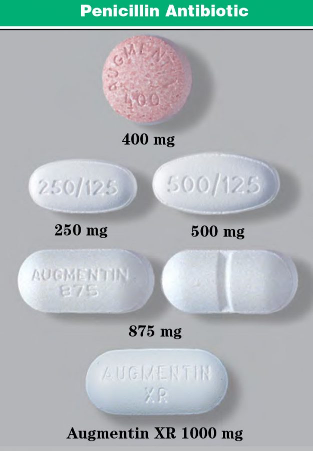 Penicillin Antibiotic Sigler Drug Cards