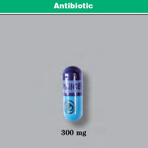 Cheap trimox antibiotic