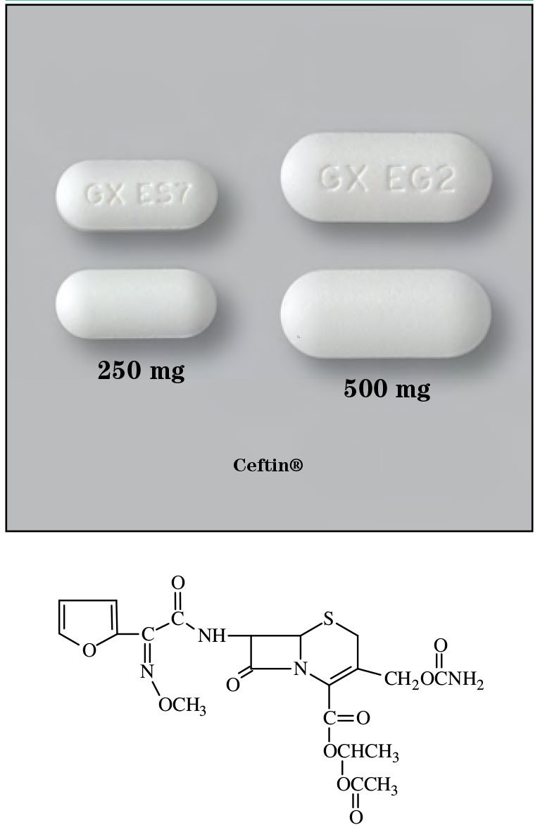 Cefuroxime Axetil – Sigler Drug Cards