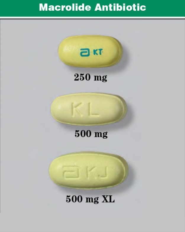 Macrolides, Tetracyclines, and Fluoroquinolones – Sigler Drug Cards