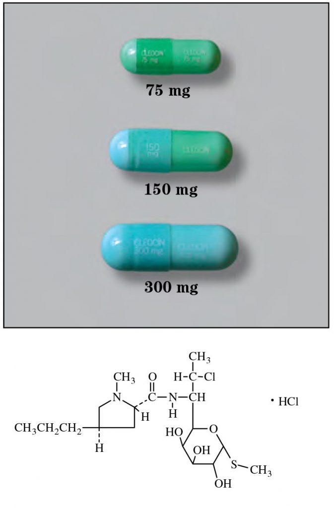 Us structure adenine worldwide card this blankets file inches get divides